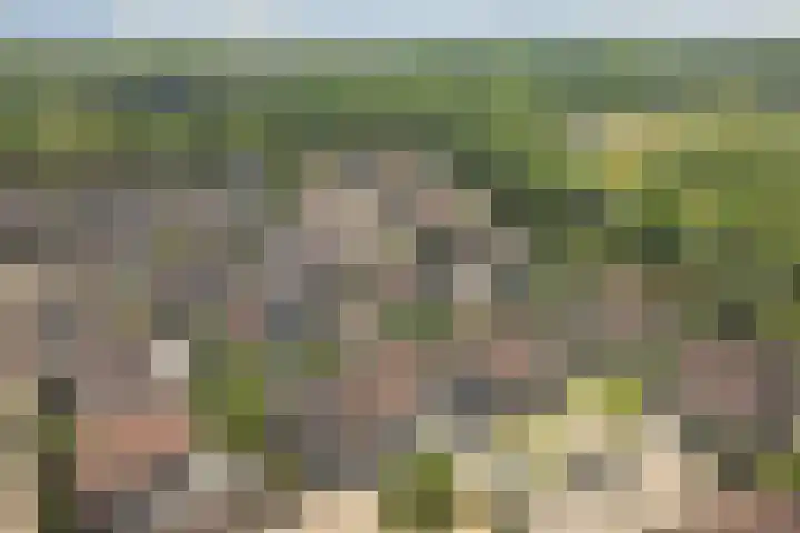 Klaverbeemd 33 Oosterhout thumbnail 37
