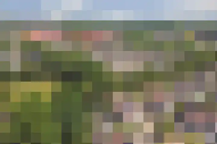 Klaverbeemd 33 Oosterhout thumbnail 38