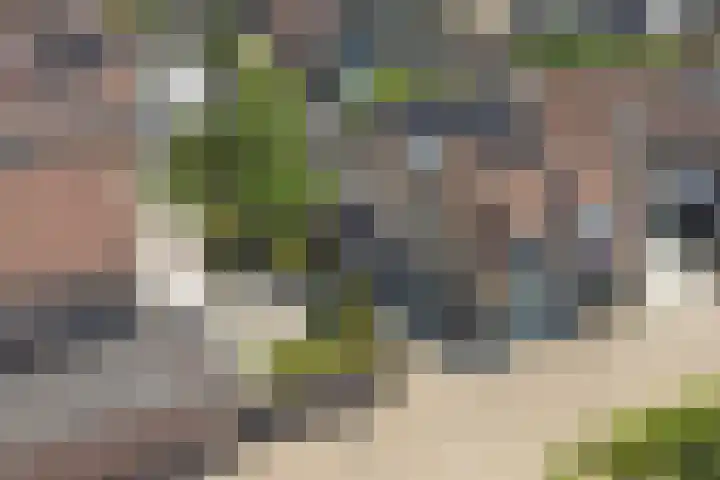 Klaverbeemd 33 Oosterhout thumbnail 39