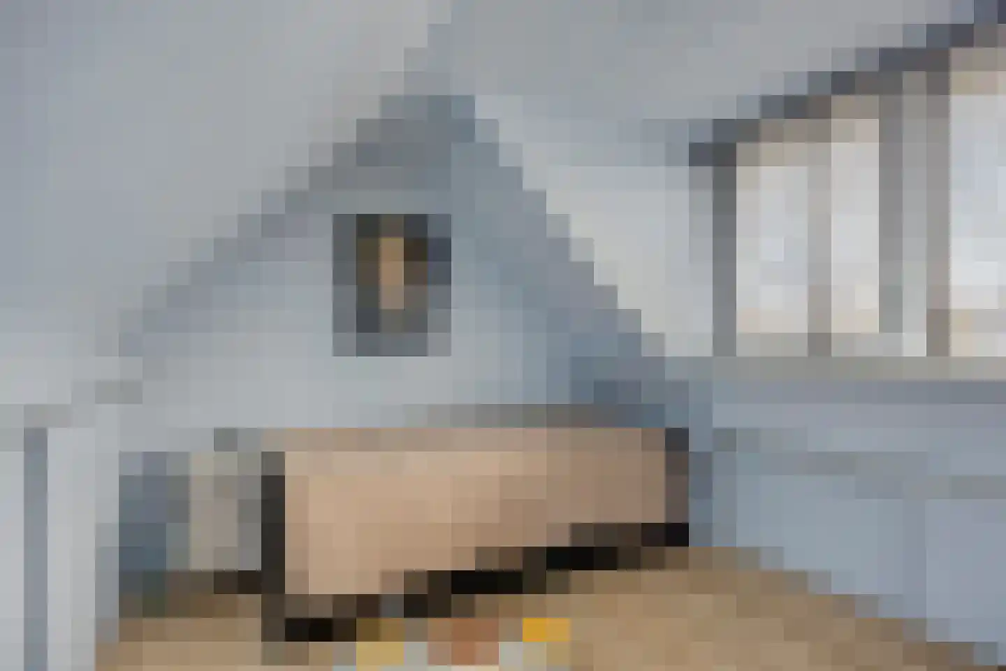 Klaverbeemd 4 Valkenswaard thumbnail 36