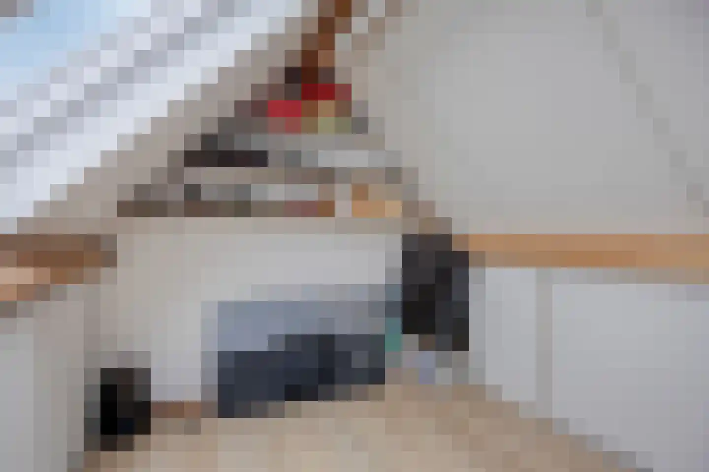 Klaverbeemd 4 Valkenswaard thumbnail 38