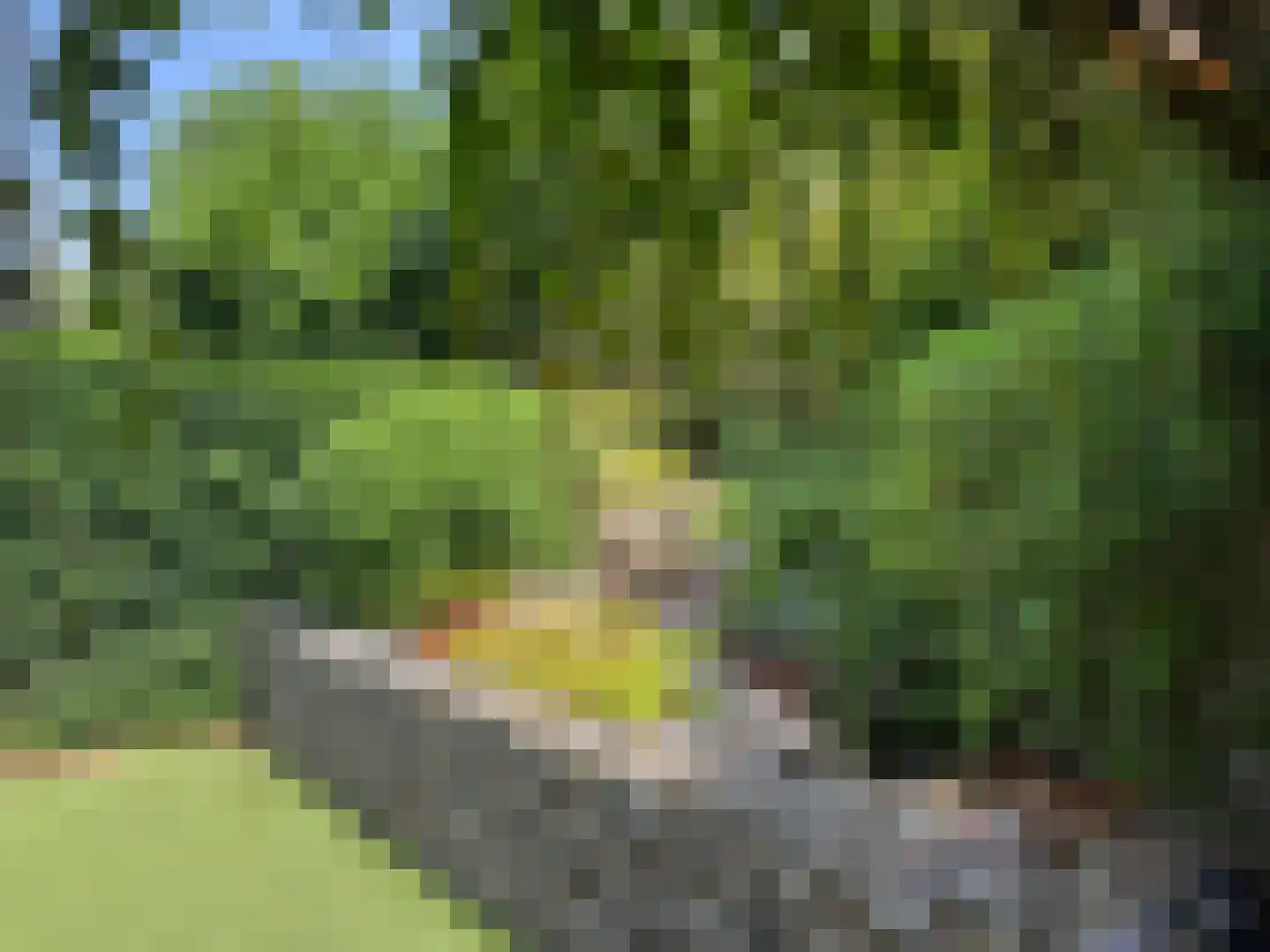 Klaverbeemd 4 Valkenswaard thumbnail 45