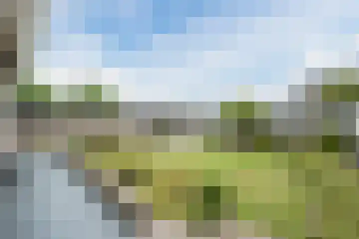Klaverberg 16 Groesbeek thumbnail 57