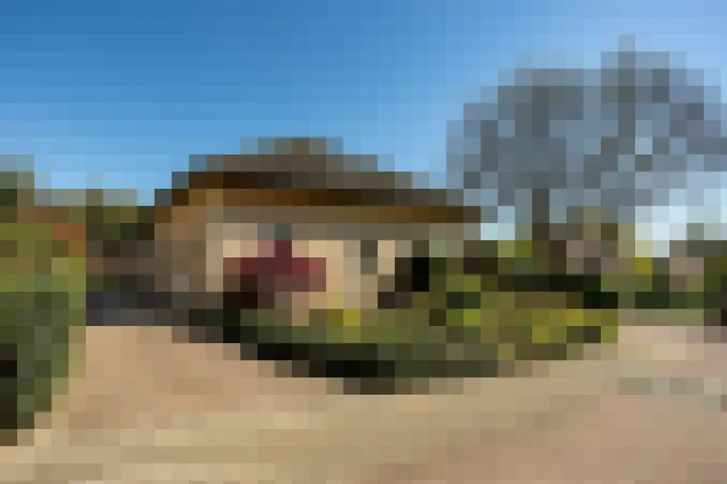 Klaverberg 2 Groesbeek thumbnail 4