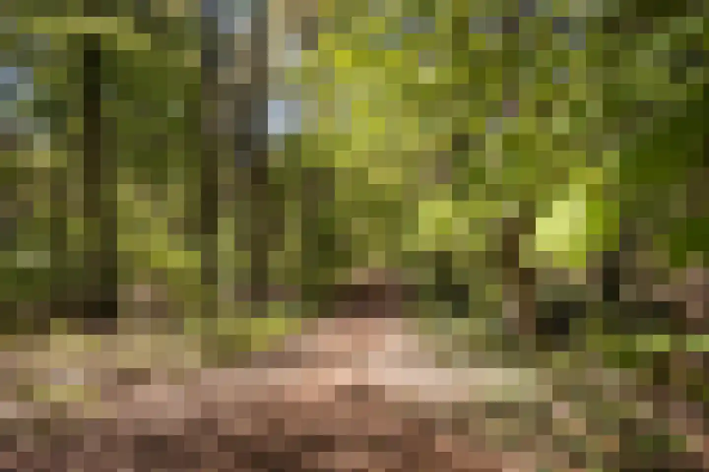 Klaverberg 2 Groesbeek thumbnail 43