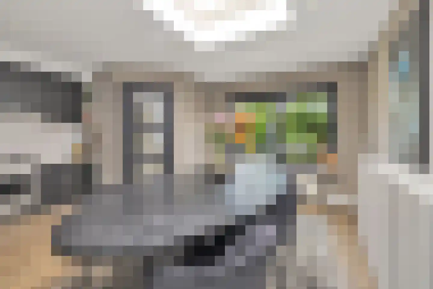 Klaverblad 13 Anna Paulowna thumbnail 18