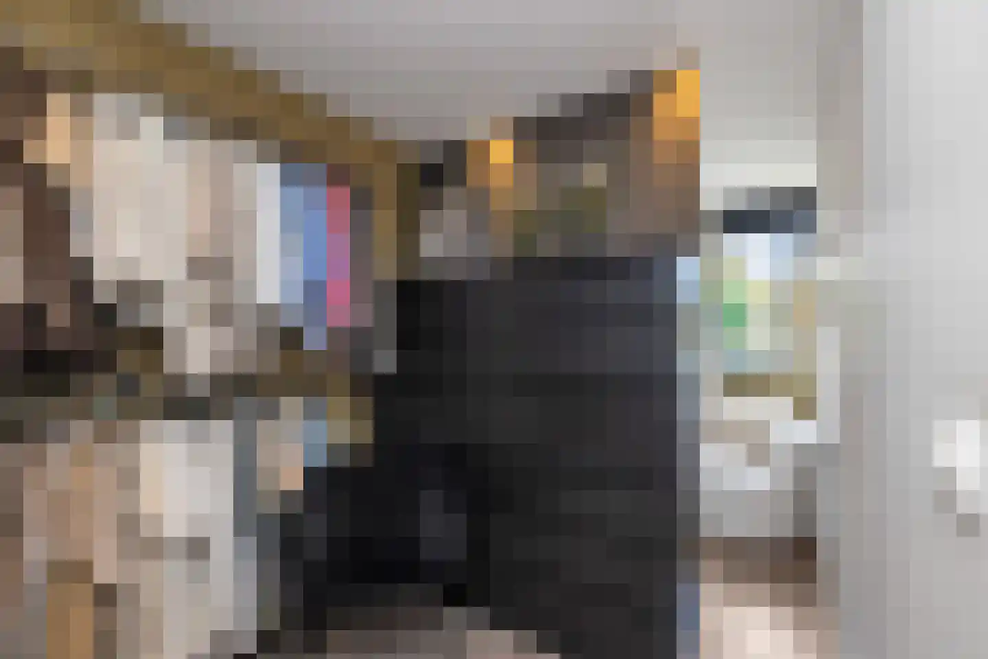 Klaverblad 13 Anna Paulowna thumbnail 28
