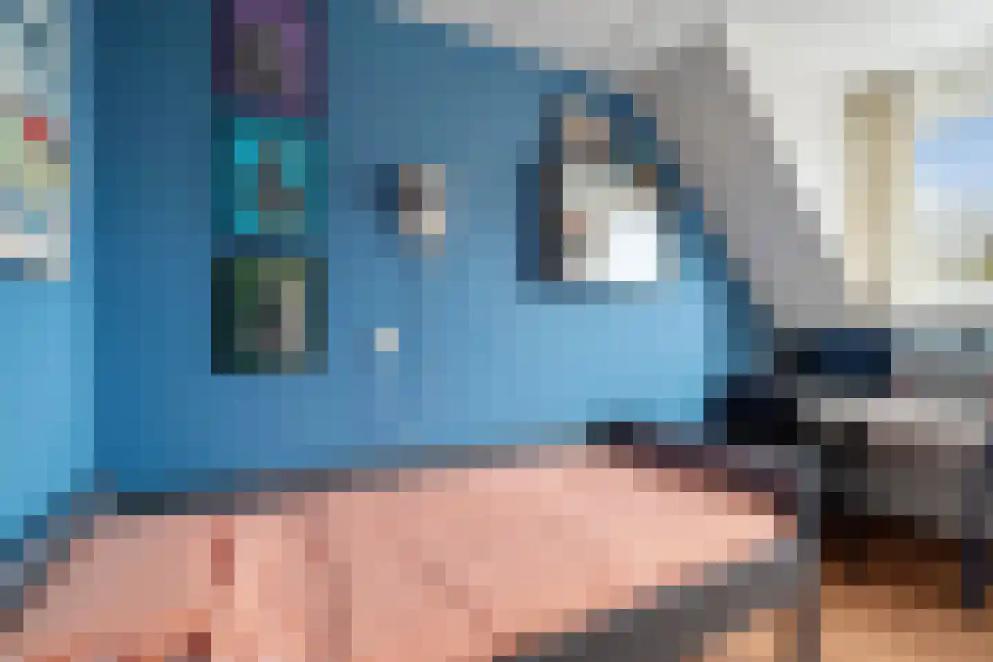 Klaverblad 19 Anna Paulowna thumbnail 40