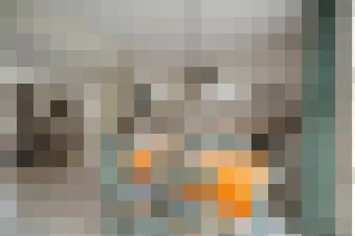 Klaverblad 39 Anna Paulowna thumbnail 10