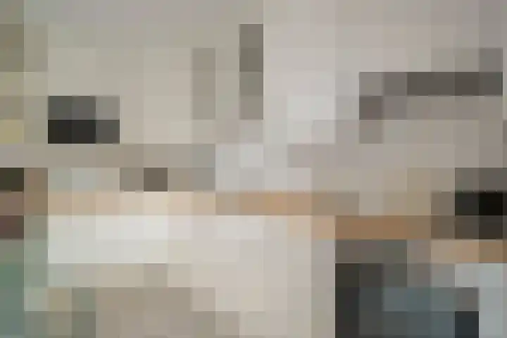Klaverblad 39 Anna Paulowna thumbnail 11