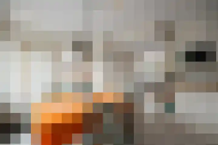 Klaverblad 39 Anna Paulowna thumbnail 12
