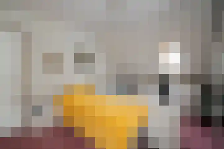 Klaverblad 39 Anna Paulowna thumbnail 15