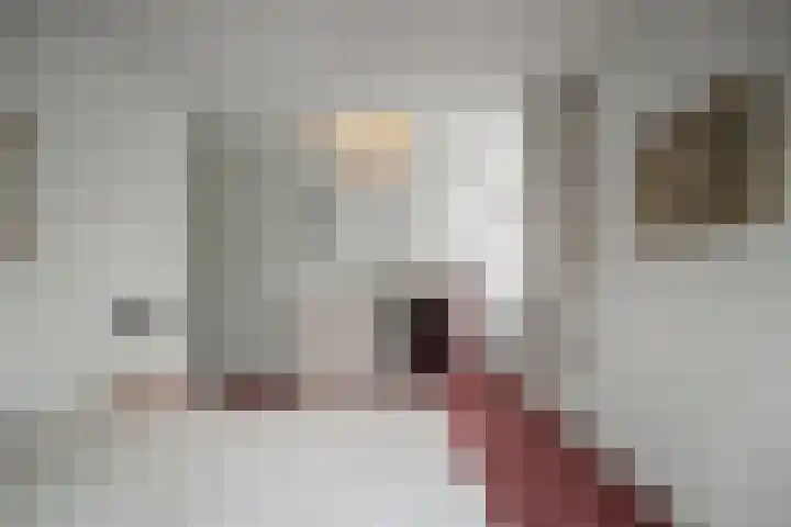 Klaverblad 39 Anna Paulowna thumbnail 17
