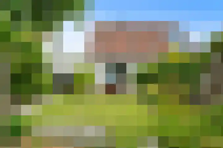 Klaverblad 39 Anna Paulowna thumbnail 27