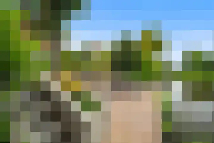 Klaverblad 39 Anna Paulowna thumbnail 28