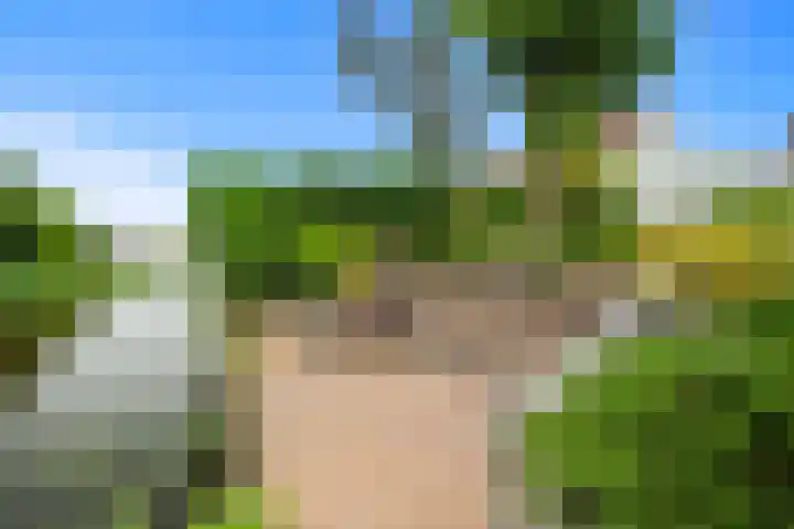 Klaverblad 39 Anna Paulowna thumbnail 29