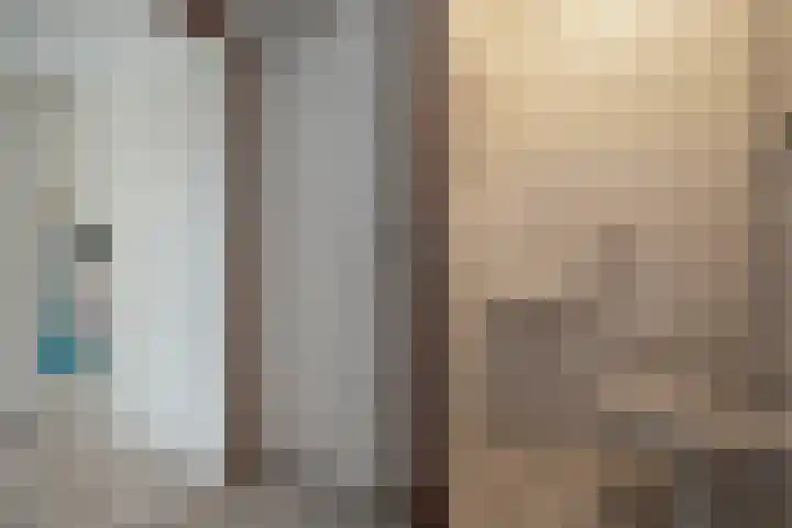 Klaverblad 39 Anna Paulowna thumbnail 6