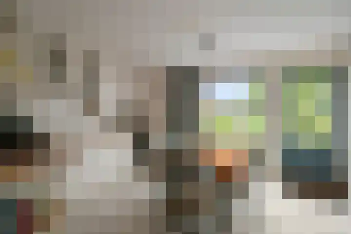 Klaverblad 39 Anna Paulowna thumbnail 9