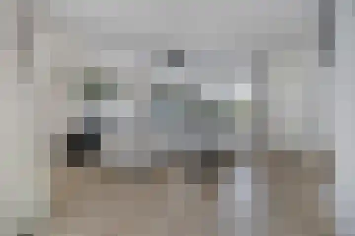 Klaverblad 57 Halsteren thumbnail 11