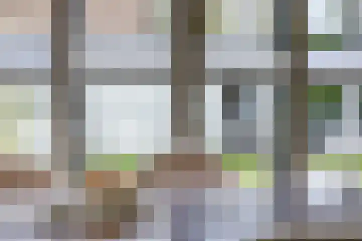 Klaverblad 57 Halsteren thumbnail 16