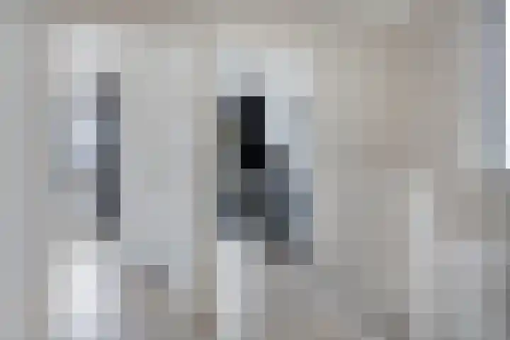 Klaverblad 57 Halsteren thumbnail 23
