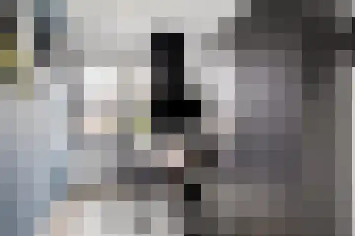 Klaverblad 57 Halsteren thumbnail 27