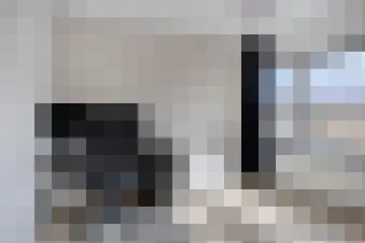 Klaverblad 57 Halsteren thumbnail 30