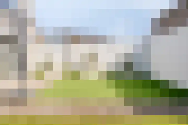 Klaverblad 57 Halsteren thumbnail 35