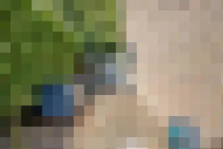 Klaverblad 57 Halsteren thumbnail 42