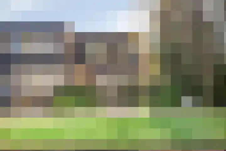Klaverblad 57 Halsteren thumbnail 44