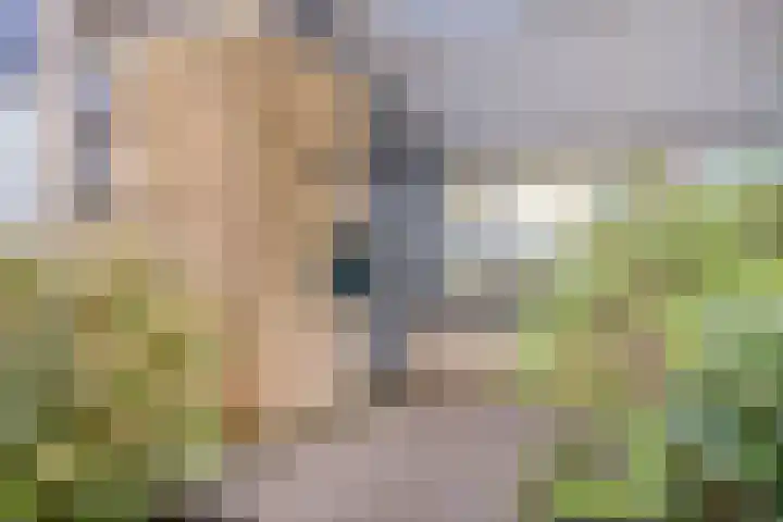 Klaverblad 57 Halsteren thumbnail 45