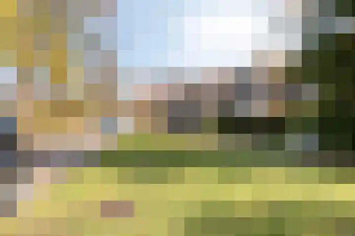 Klaverblad 57 Halsteren thumbnail 46