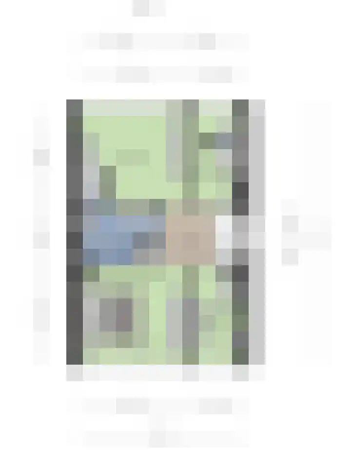 Klaverblad 57 Halsteren thumbnail 49