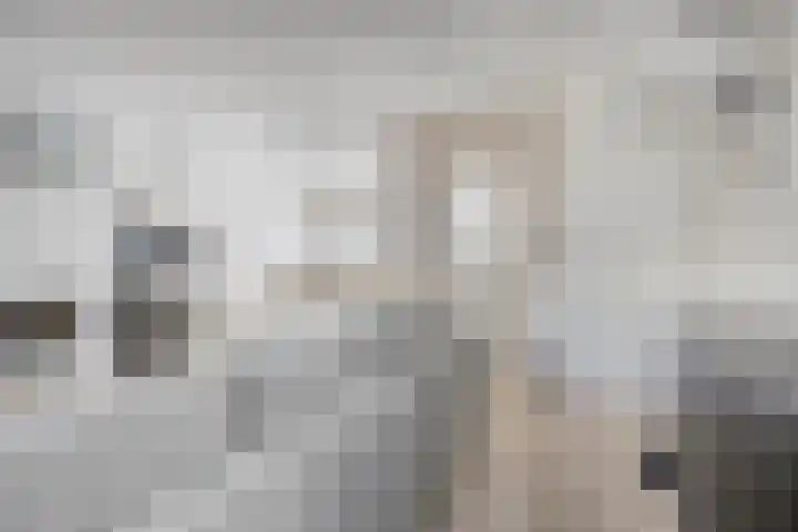 Klaverblad 57 Halsteren thumbnail 9