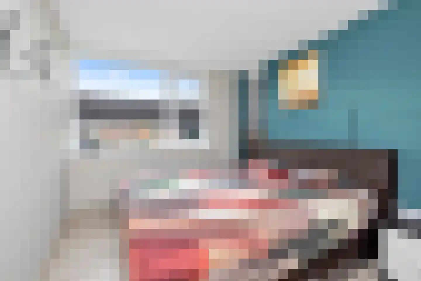 Klaverblad 9 Anna Paulowna thumbnail 20