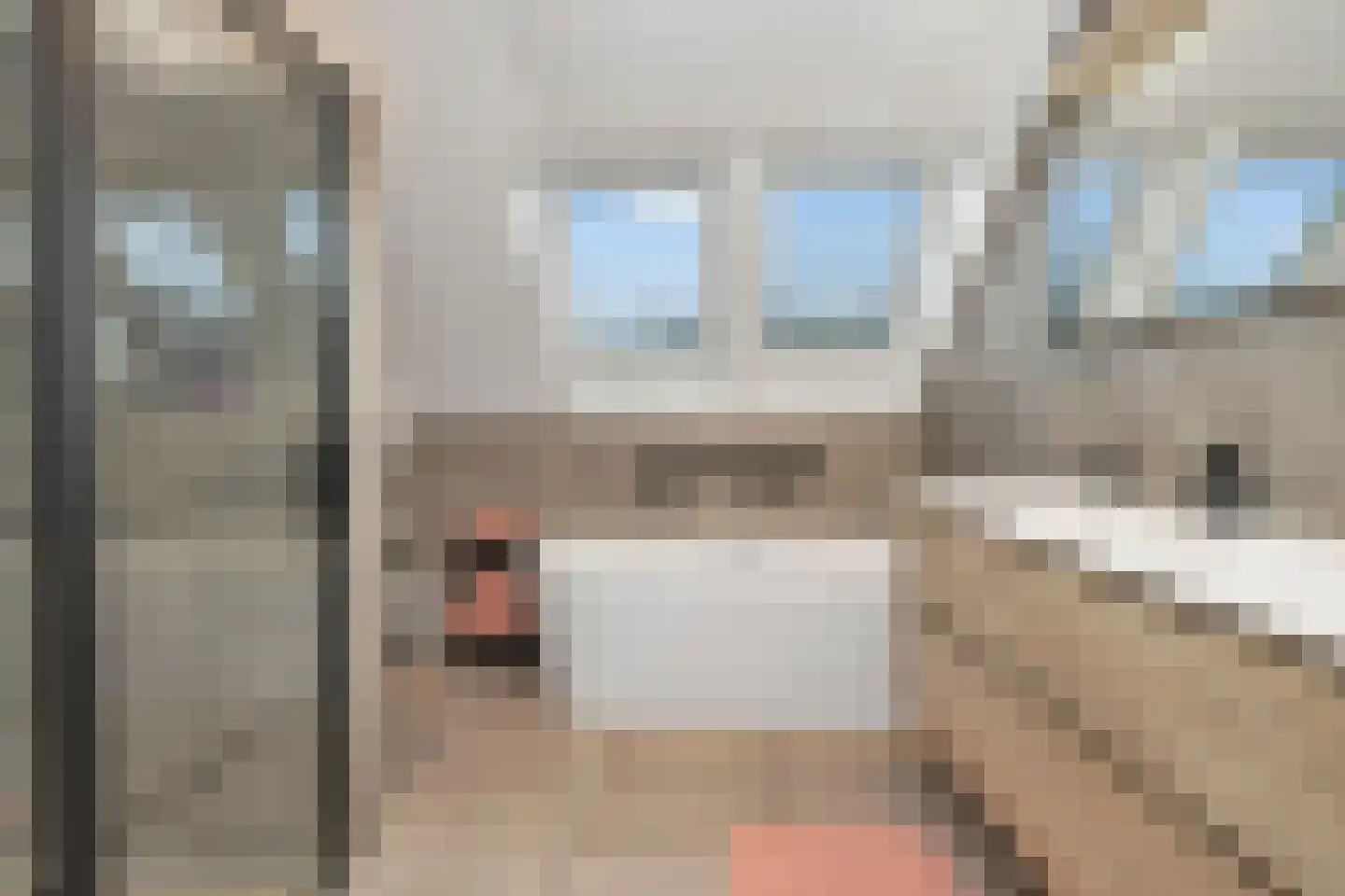 Klaverblad 9 Anna Paulowna thumbnail 22