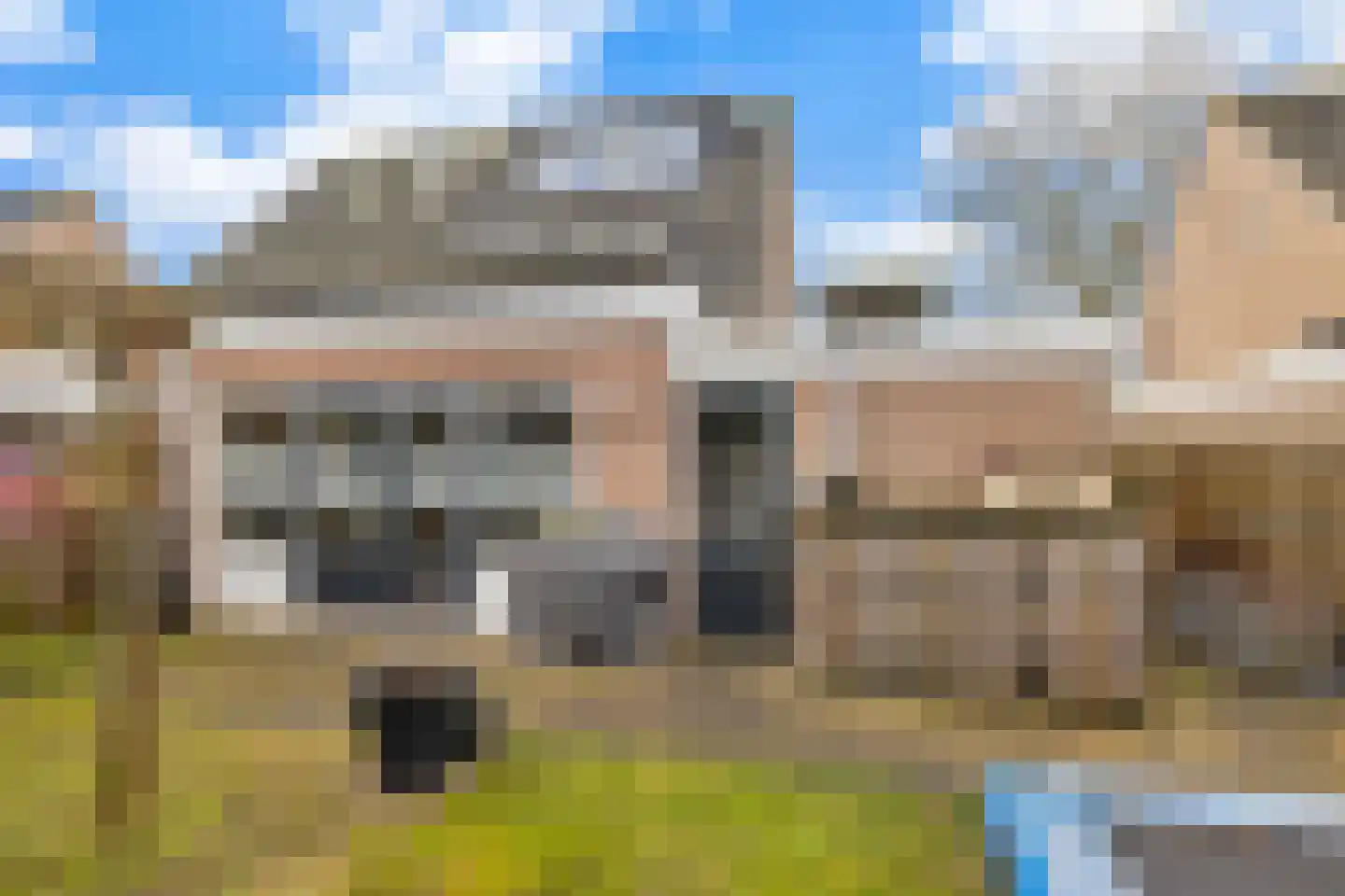 Klaverblad 9 Anna Paulowna thumbnail 4
