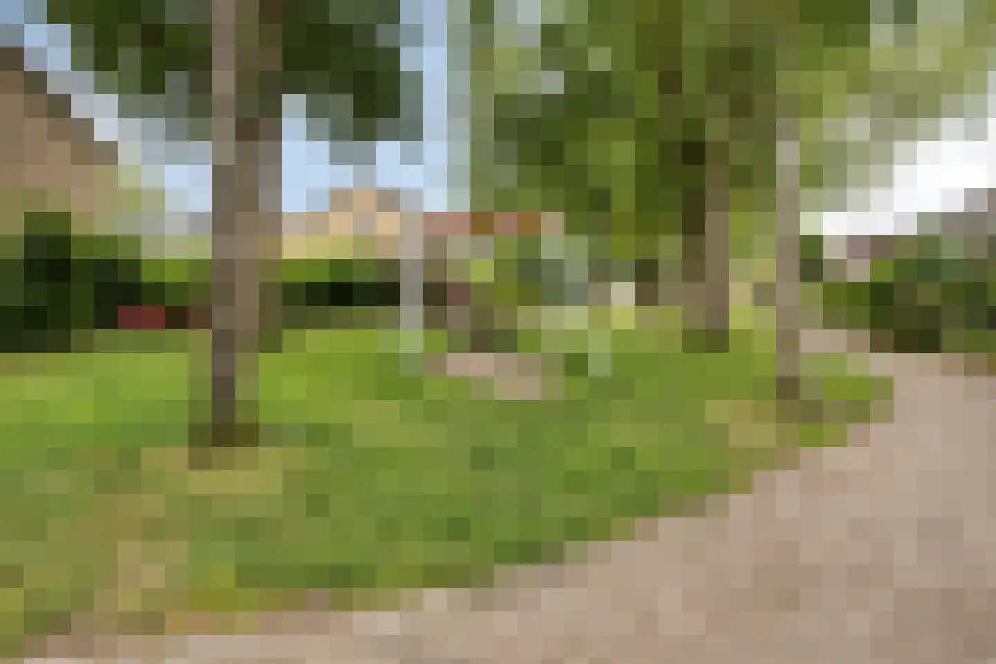 Klaverblad 9 Halsteren thumbnail 25