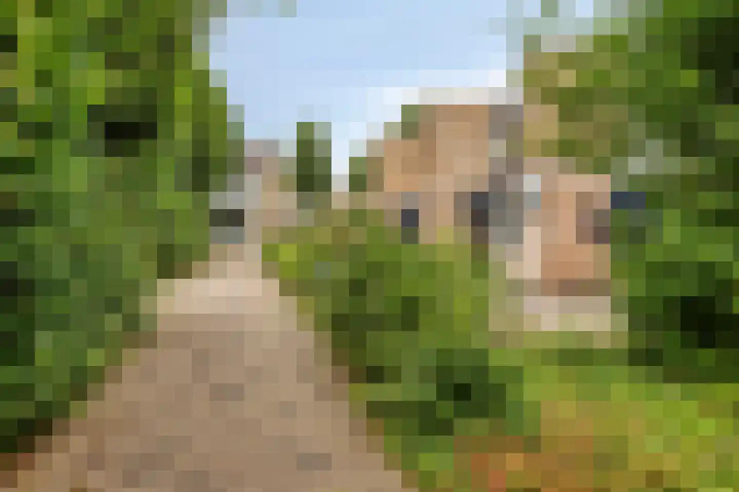 Klaverblad 9 Halsteren thumbnail 26