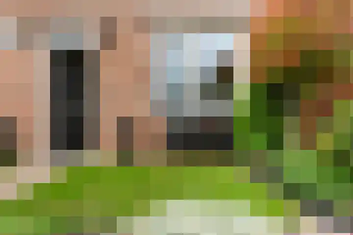 Klaverbladstraat 12 Klaaswaal thumbnail 7