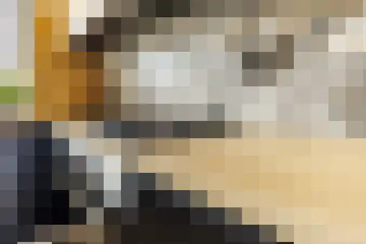 Klaverbladstraat 7 Klaaswaal thumbnail 7