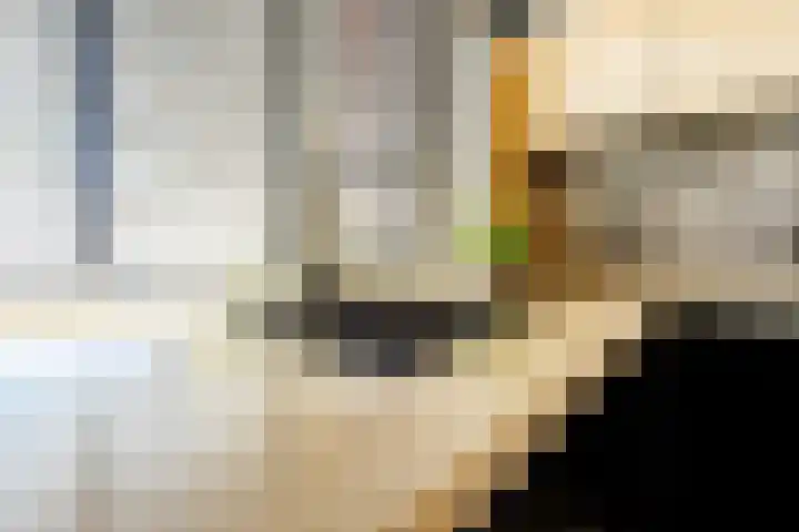Klaverbladstraat 7 Klaaswaal thumbnail 8