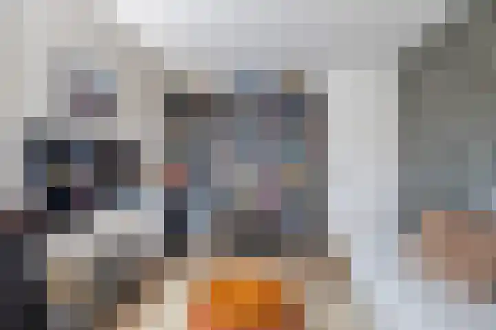Klaverblauwtje 4 Breda thumbnail 18