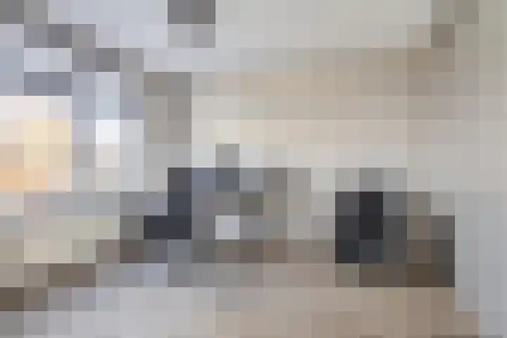 Klaverblauwtje 4 Breda thumbnail 19
