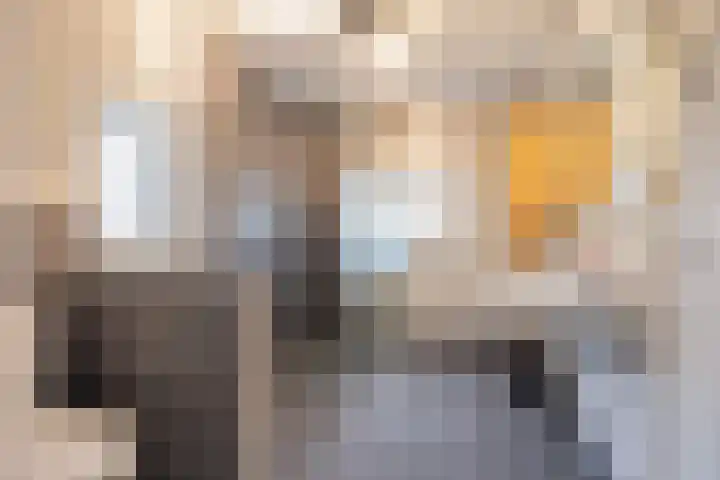 Klaverblauwtje 4 Breda thumbnail 22