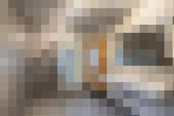 Klaverblauwtje 4 Breda thumbnail 23