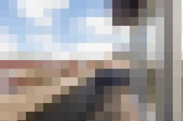 Klaverblauwtje 4 Breda thumbnail 27