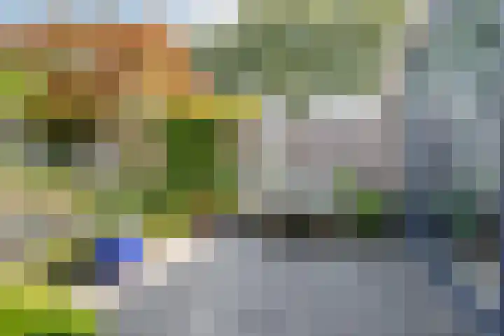 Klaverblauwtje 4 Breda thumbnail 28