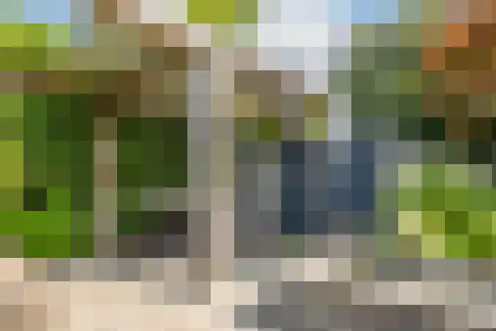 Klaverblauwtje 4 Breda thumbnail 30