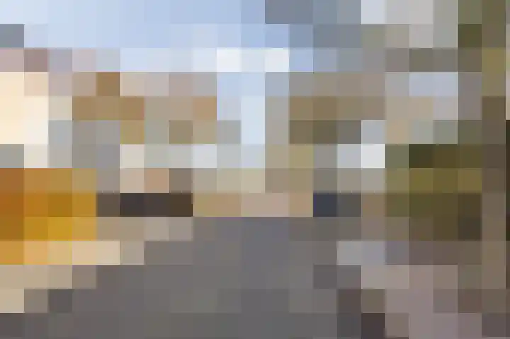 Klaverblauwtje 4 Breda thumbnail 32